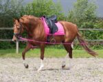 "STRETCHING AID"  IN POLIESTERE Chambon e Gogue 